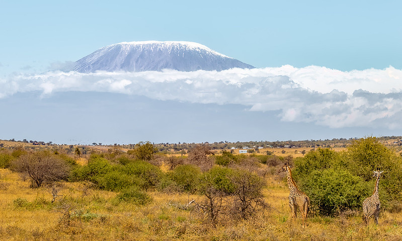 Climb Mount Kilimanjaro