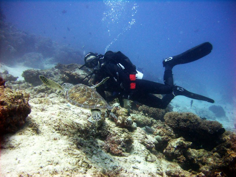 Go Diving and Snorkeling in Mafia Island