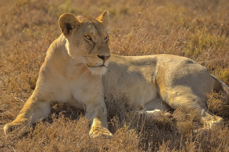 Serengeti National Park