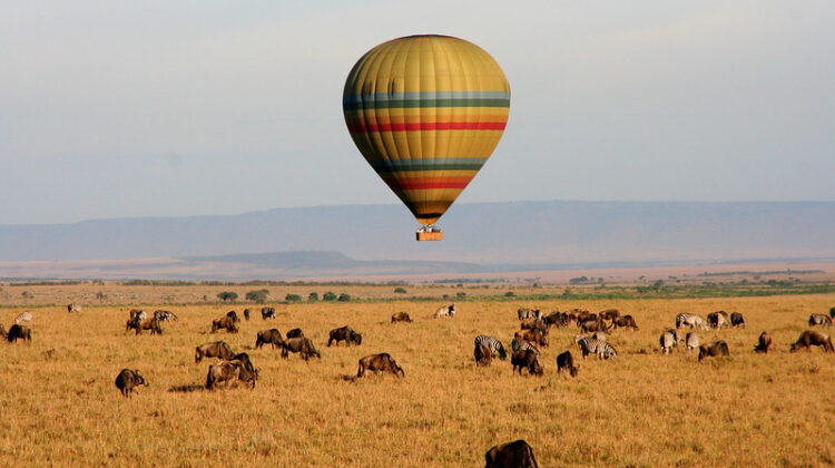 Things to Do in Tanzania