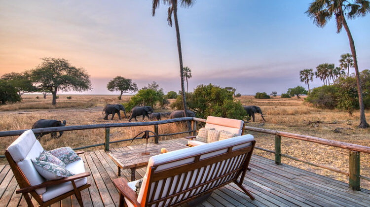 Where to Stay on Your Safari in Tanzania