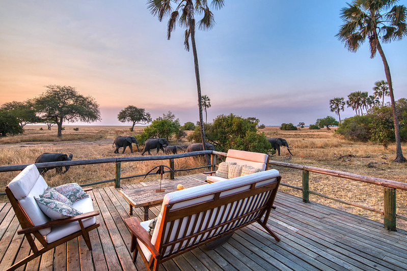 Where to Stay on Your Safari in Tanzania